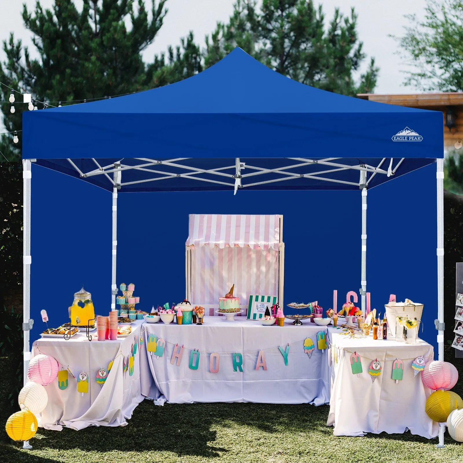 10x10 Heavy Duty Pop up Commercial Canopy with Removable Sidewalls