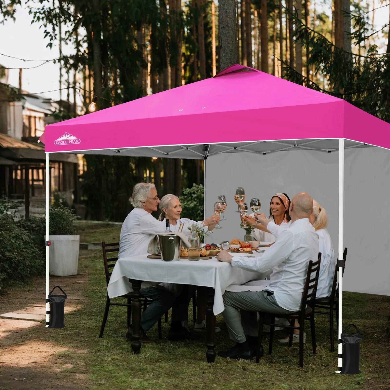 12x12 Commercial Heavy Duty Pop up Canopy with 1 Sidewall