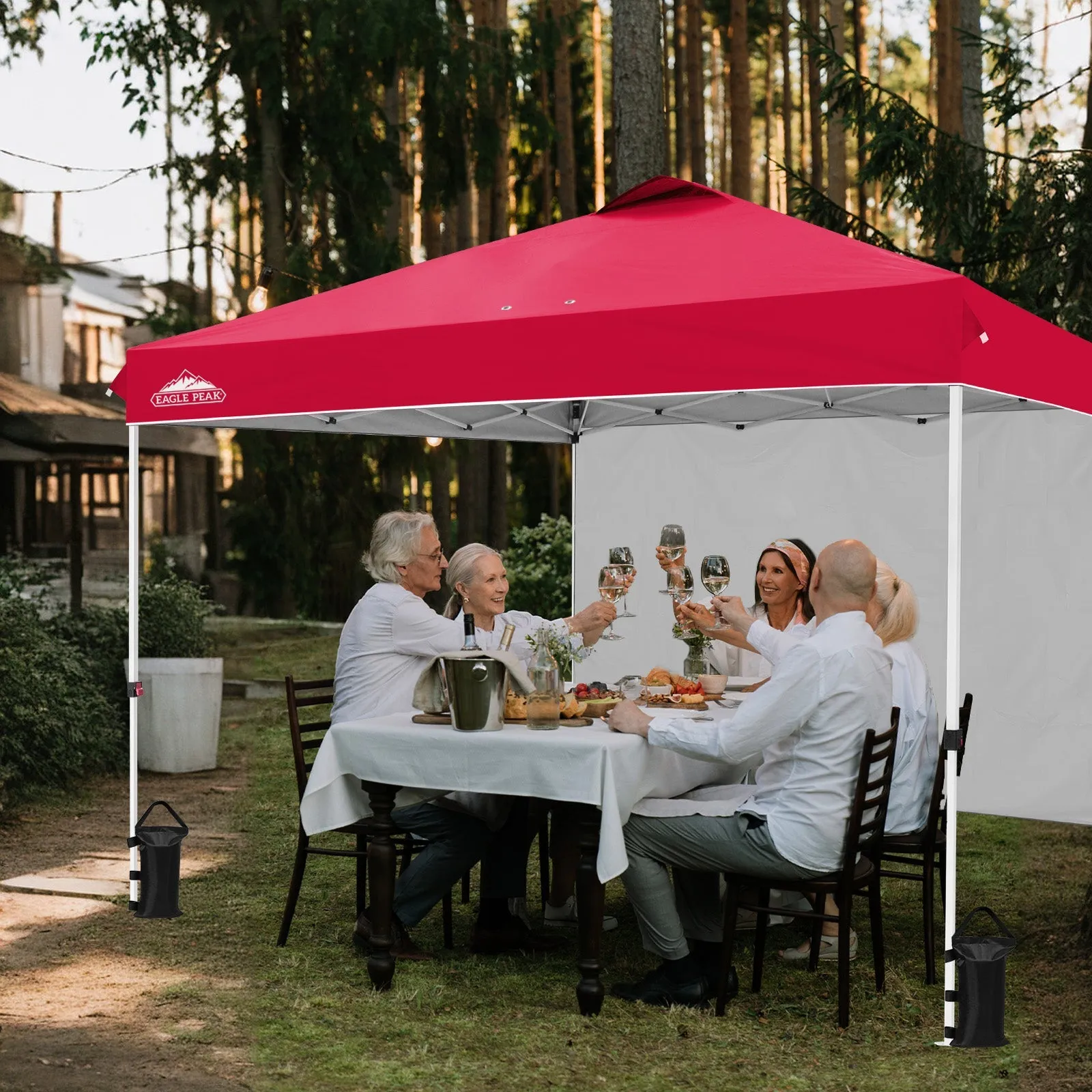 12x12 Commercial Heavy Duty Pop up Canopy with 1 Sidewall