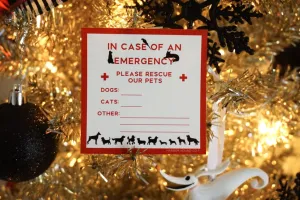 Emergency Alert Window Static Cling