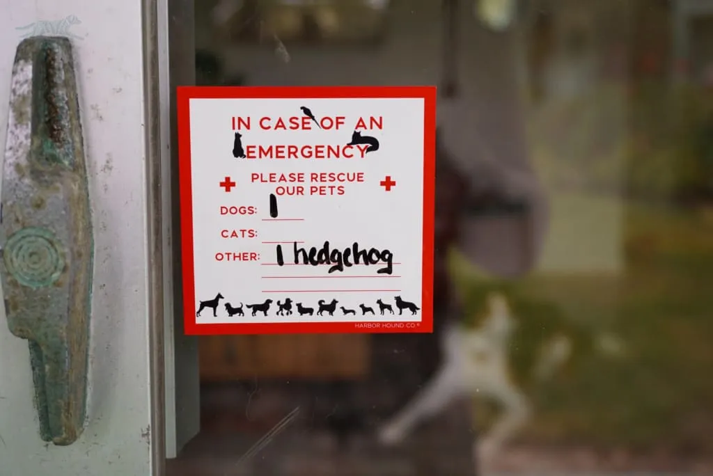 Emergency Alert Window Static Cling