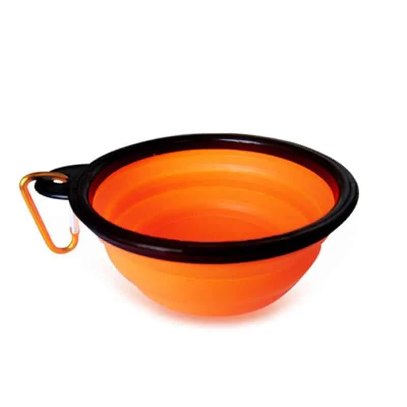 Folding Lunch Box