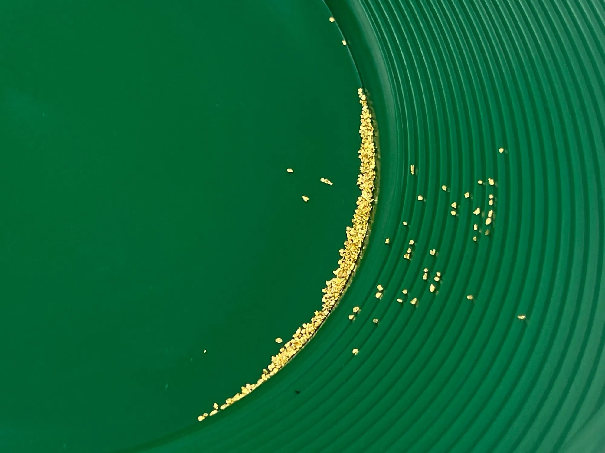 Gold panning kit for two; Two green gold pans with gold trap and dual riffles, two plastic gold paydirt shovels, two stainless steel magnifying tweezers, and three glass gold storage vials